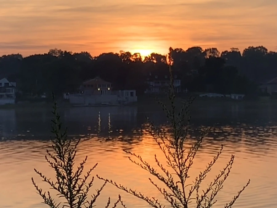 IMG_6821.jpg?type=w966