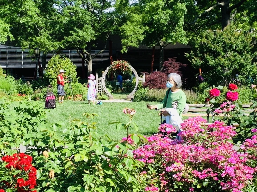 IMG_3101.jpg?type=w966