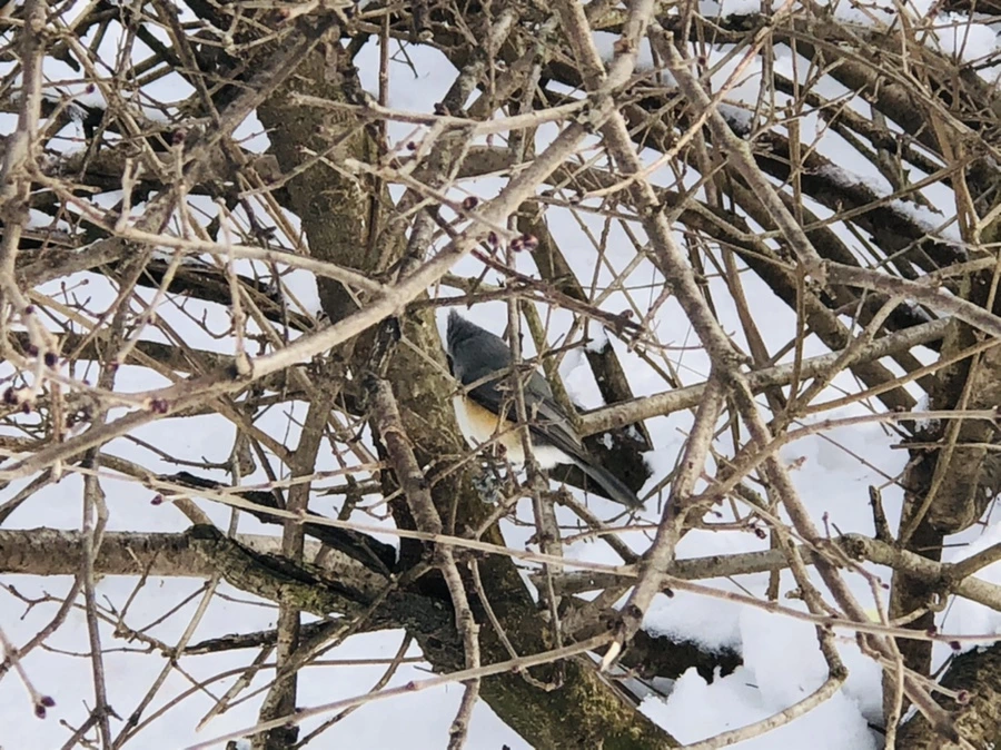 IMG_9331.jpg?type=w966