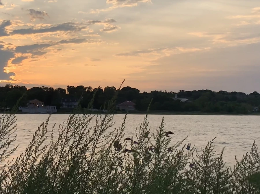 IMG_1732.jpg?type=w966