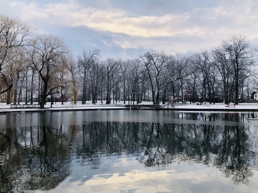 IMG_4520.jpg?type=w966