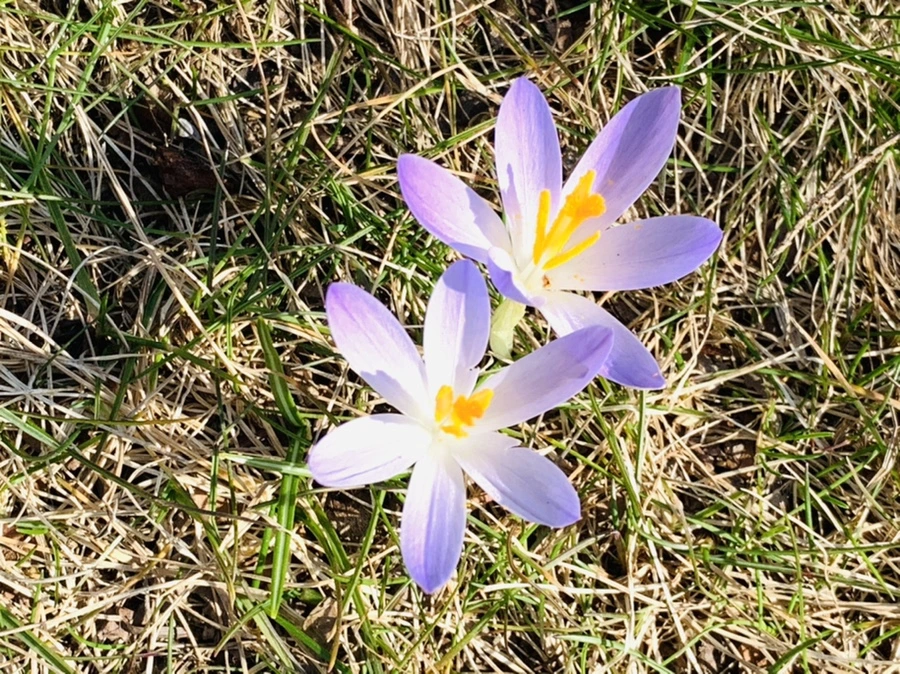 IMG_0189.jpg?type=w966