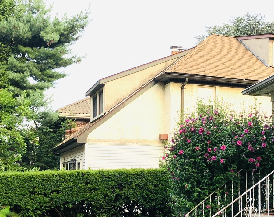 IMG_3663.jpg?type=w966