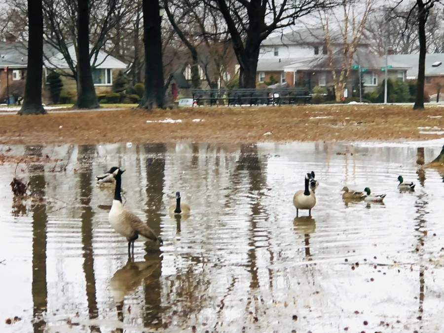 IMG_5640.jpg?type=w966