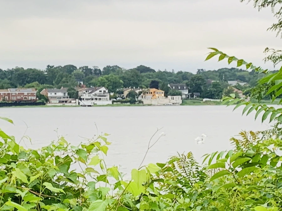 IMG_7115.jpg?type=w966