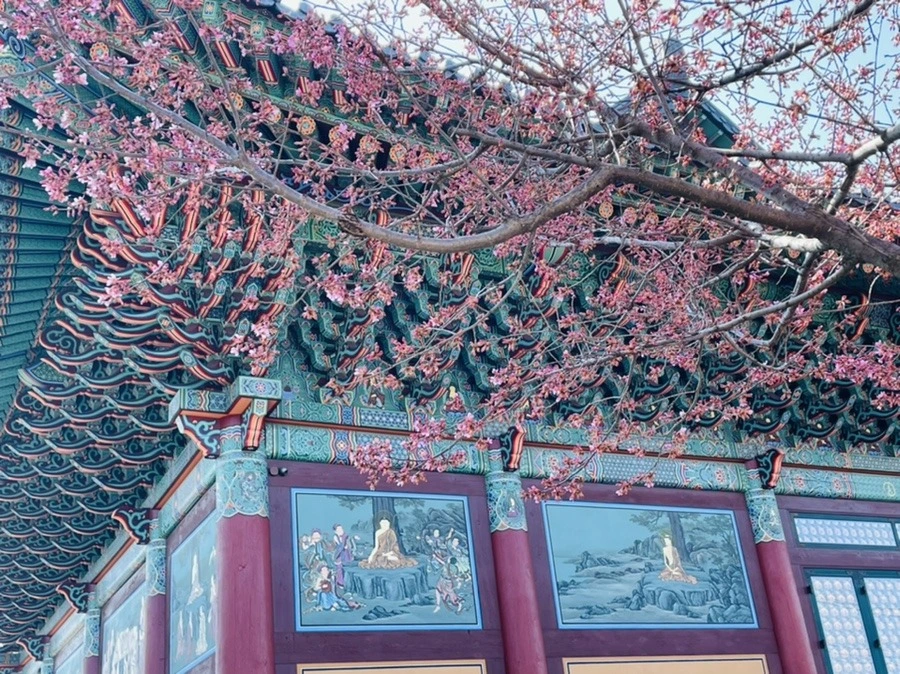 baDNFg-h5-tCJcscXmhy_IsIk2Q