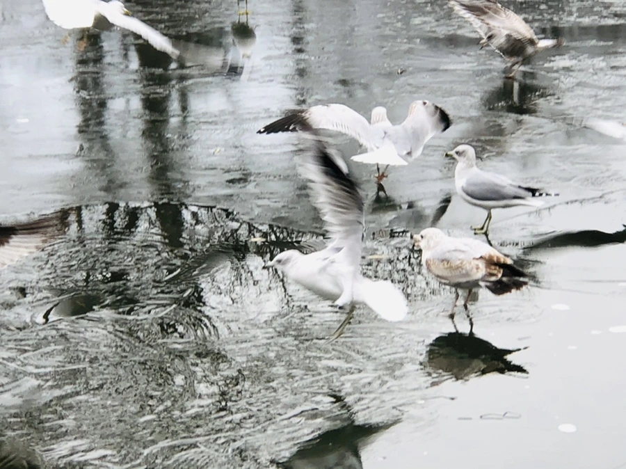 IMG_8907.jpg?type=w966