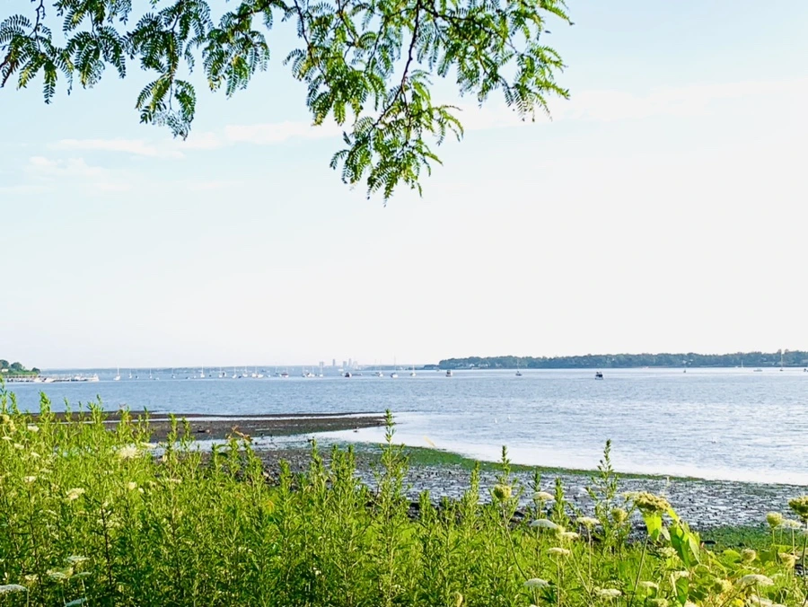 IMG_9825.jpg?type=w966