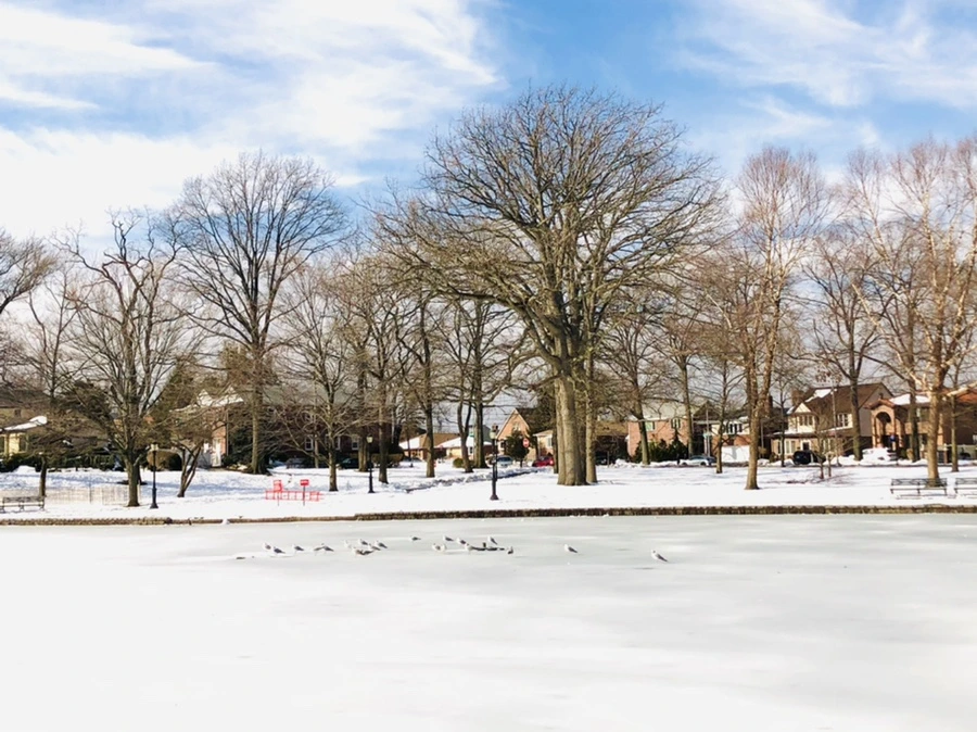 IMG_0110.jpg?type=w966