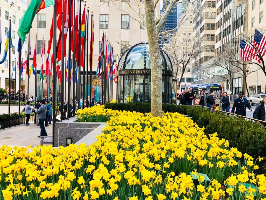 IMG_5201.jpg?type=w966