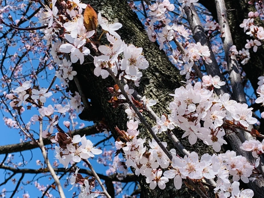 IMG_7694.jpg?type=w966