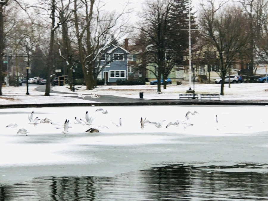 IMG_6254.jpg?type=w966