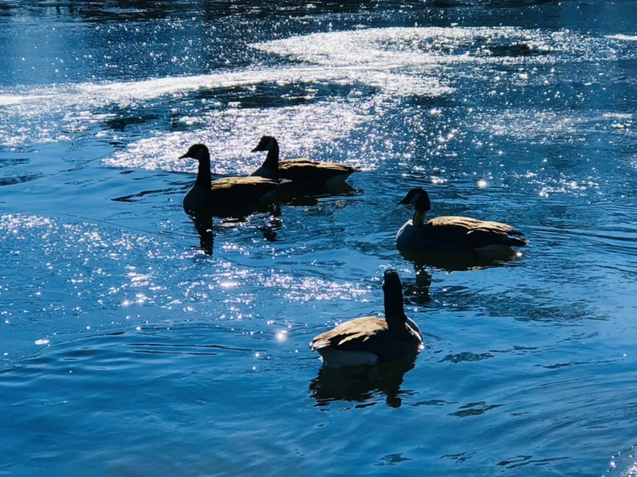 IMG_7777.jpg?type=w966