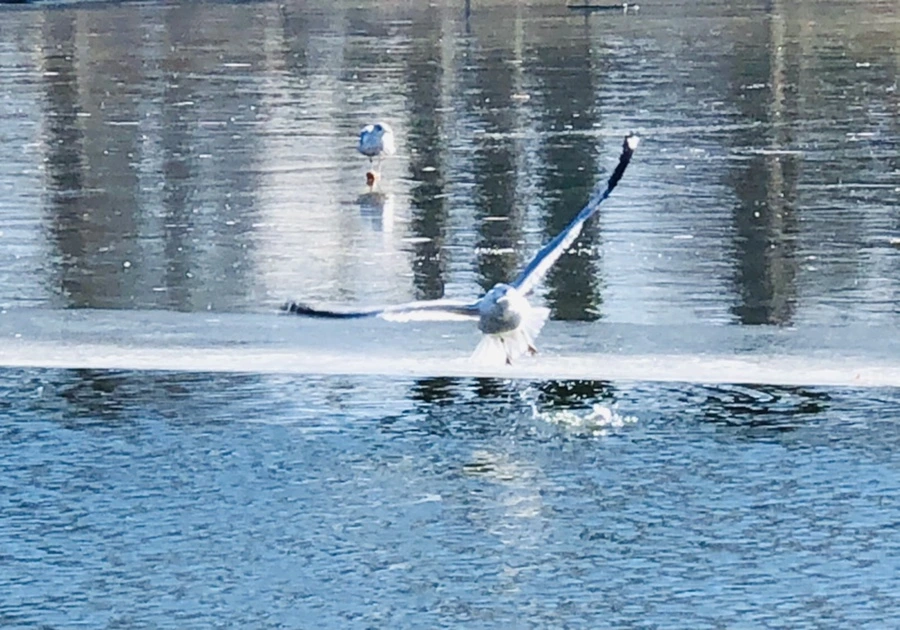 IMG_5581.jpg?type=w966