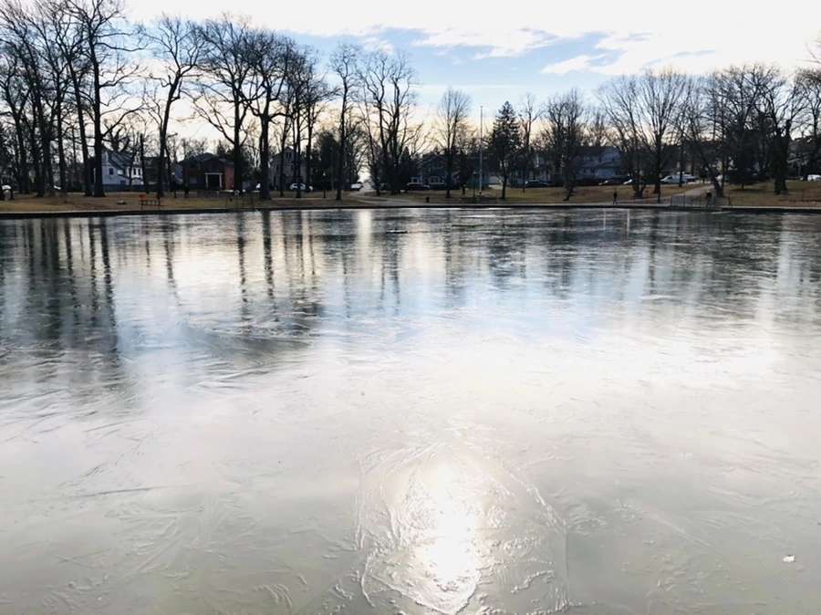 IMG_4752.jpg?type=w966