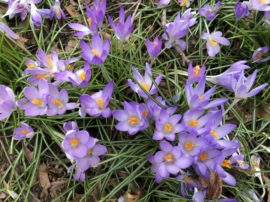 IMG_1986.jpg?type=w966