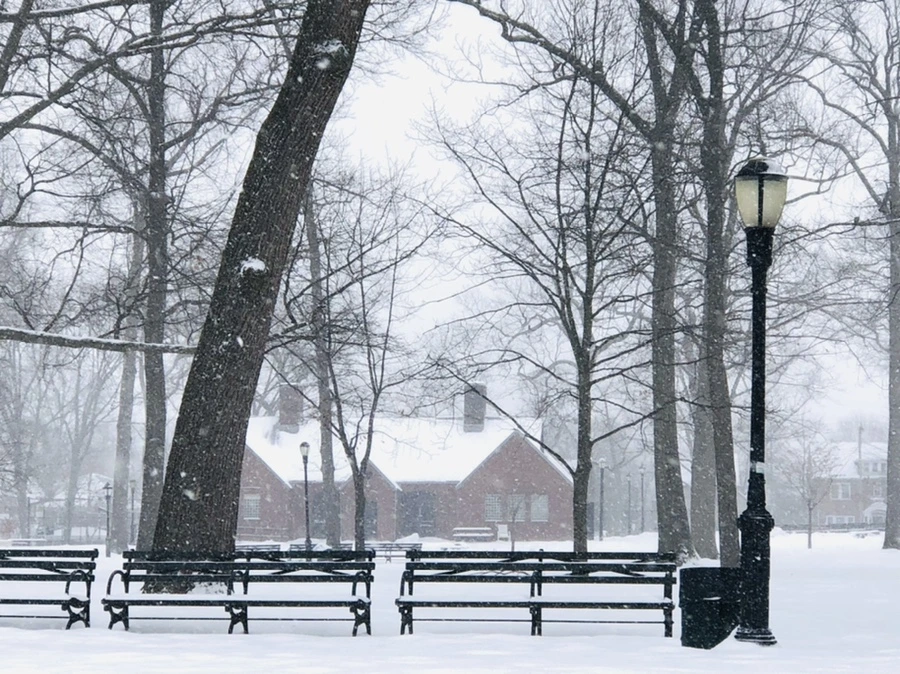 IMG_3382.jpg?type=w966