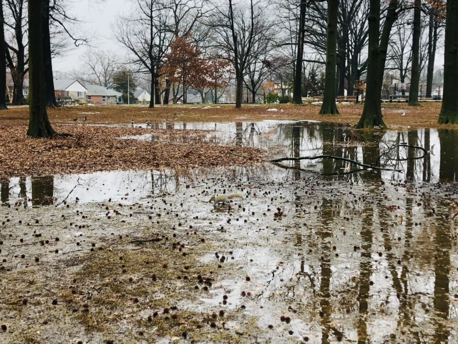 IMG_5729.jpg?type=w966