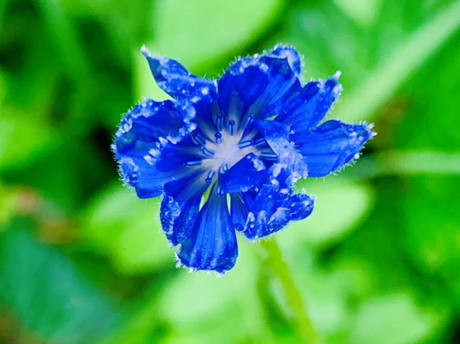 IMG_4889.jpg?type=w966