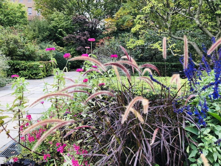 IMG_1853.jpg?type=w966