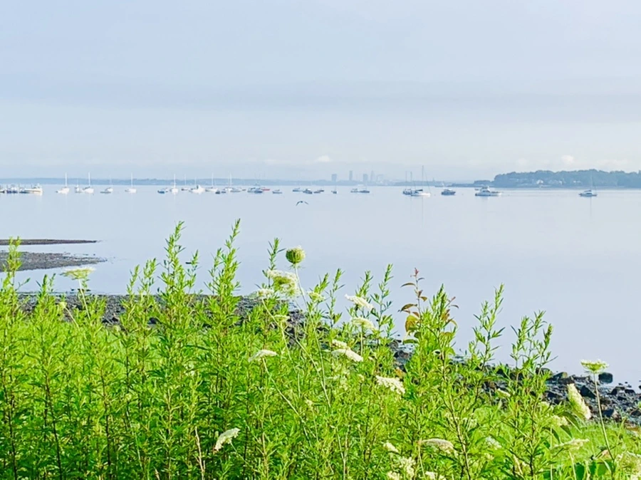 IMG_4386.jpg?type=w966