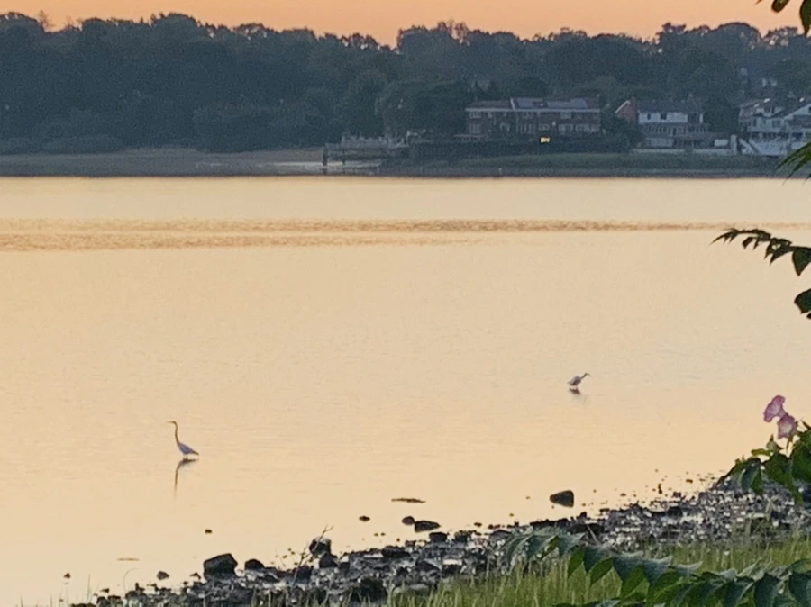 IMG_7104.jpg?type=w966