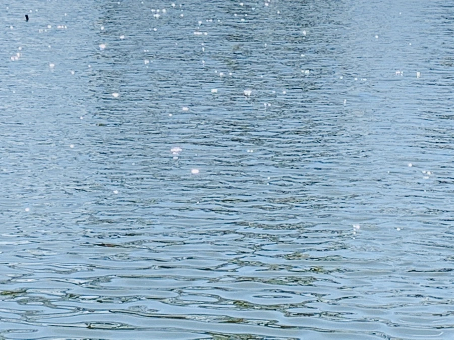 IMG_4449.jpg?type=w966