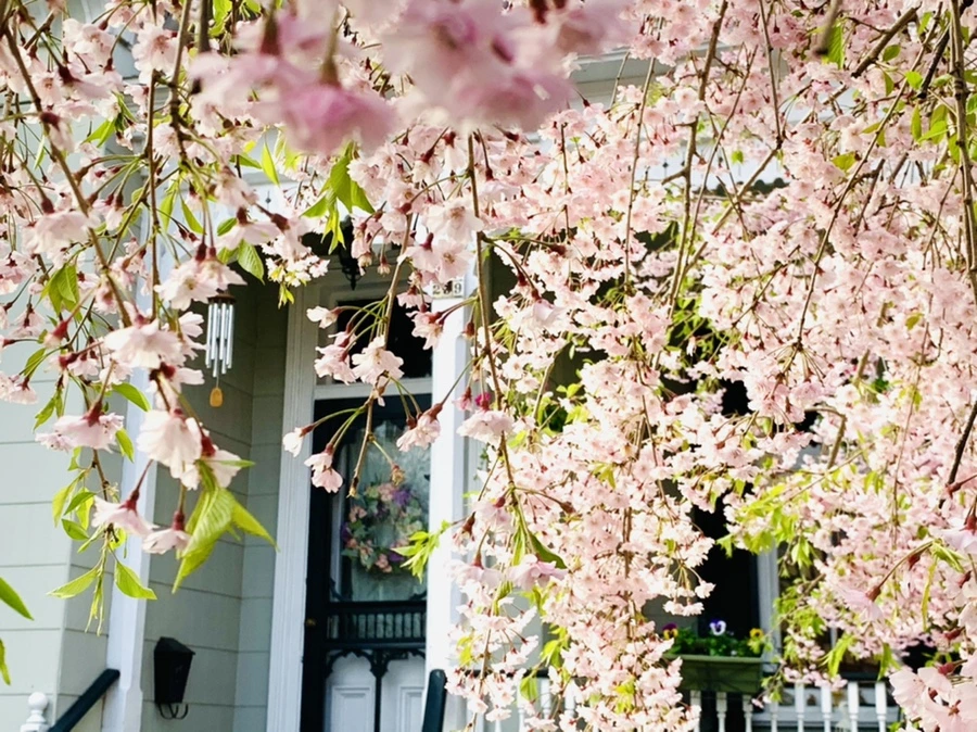 IMG_3699.jpg?type=w966