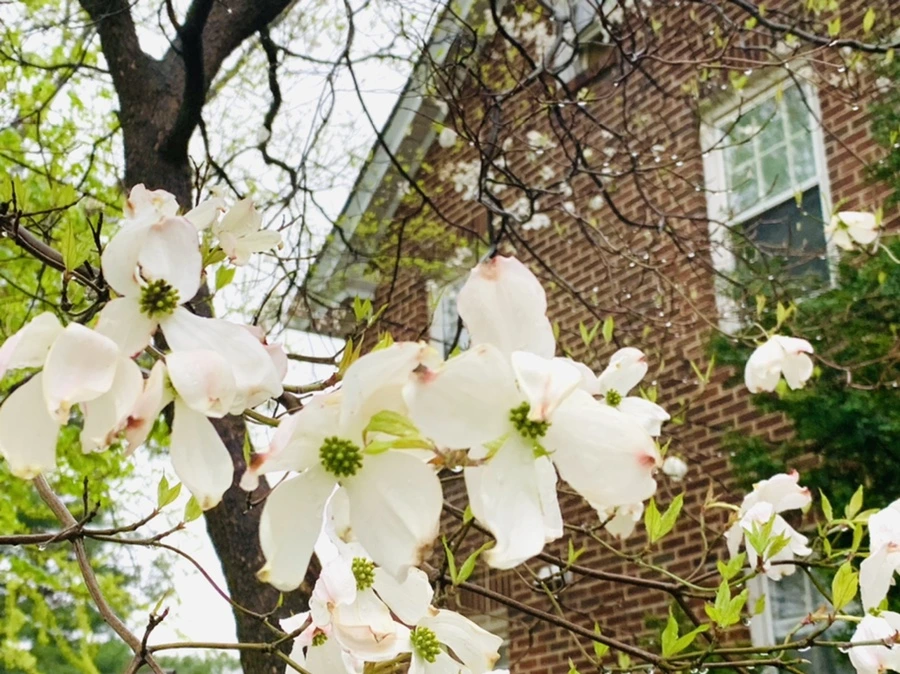 IMG_5321.jpg?type=w966