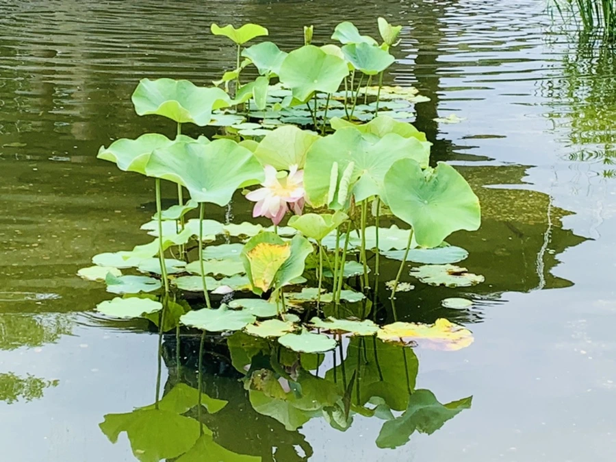 IMG_9883.jpg?type=w966