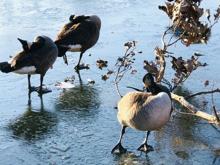 tFuIX_Cl1yAm0ebZFYPnhsA0-Og