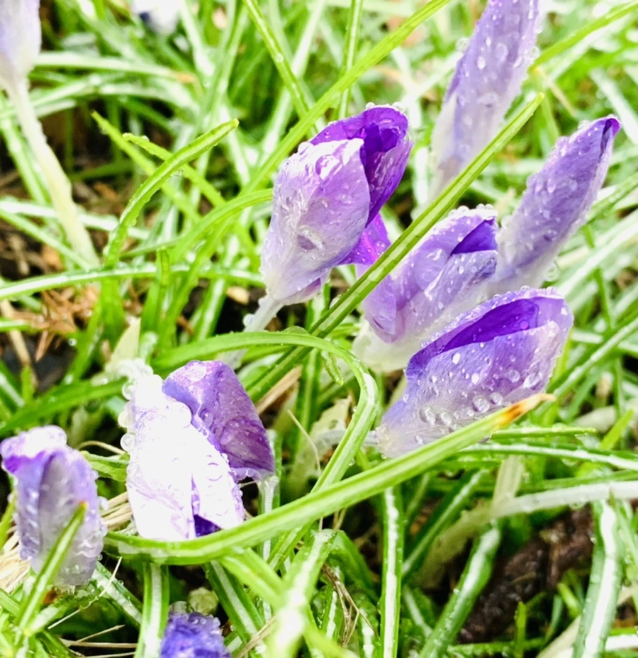 IMG_2012.jpg?type=w966