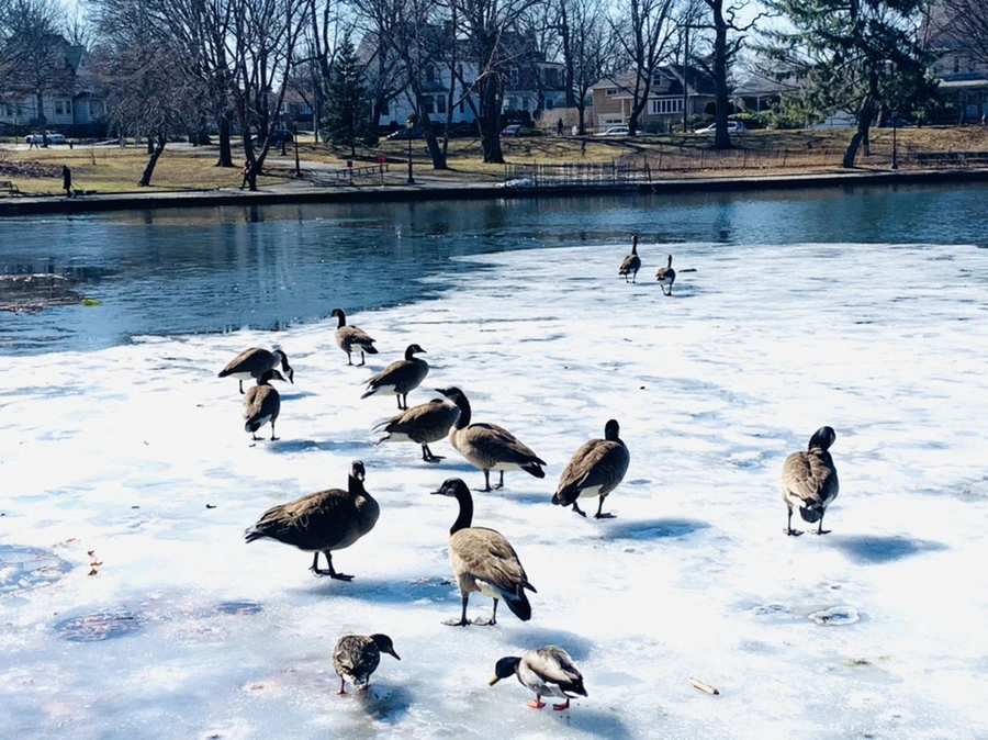 IMG_6904.jpg?type=w966