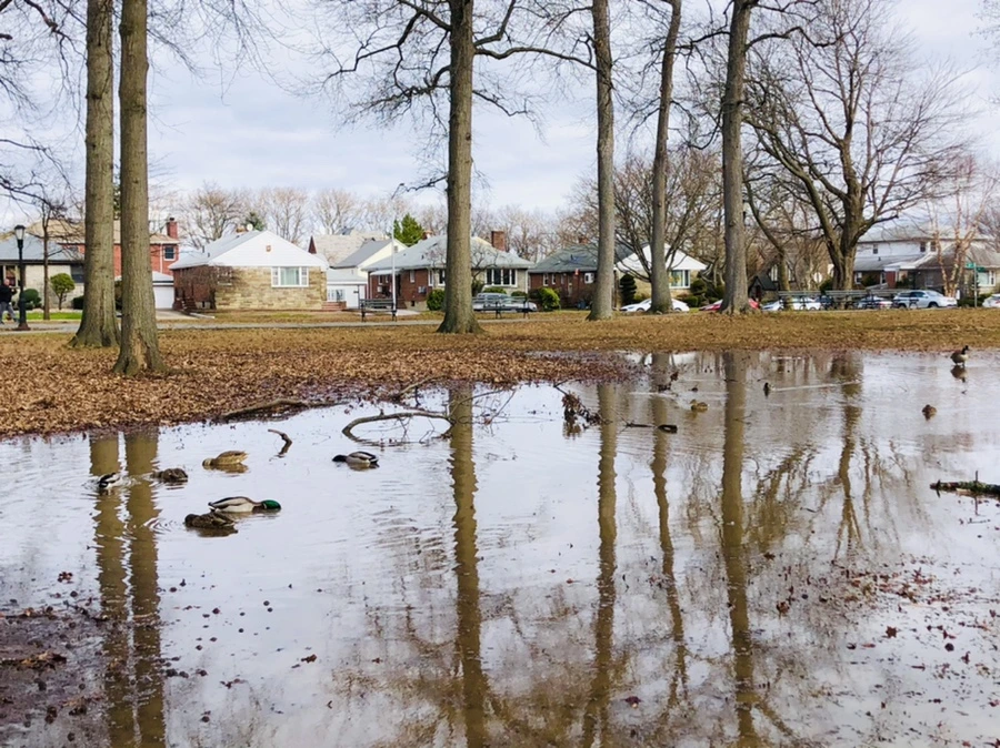 IMG_9921.jpg?type=w966