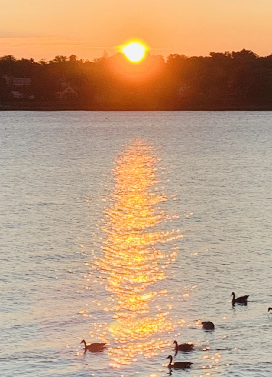 IMG_9559.jpg?type=w966