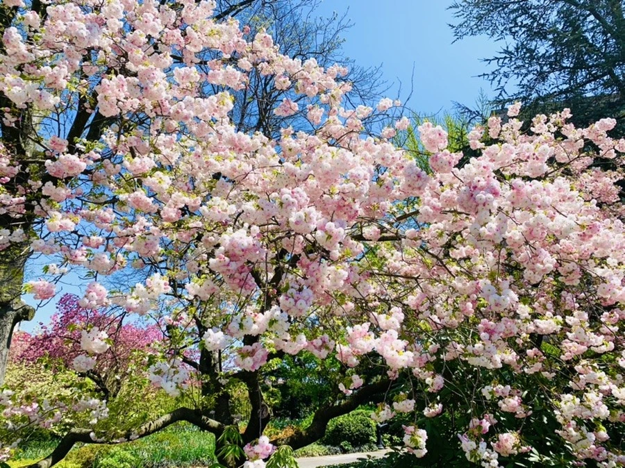 yg369t85a8-CTs48a1q-BkjKACw