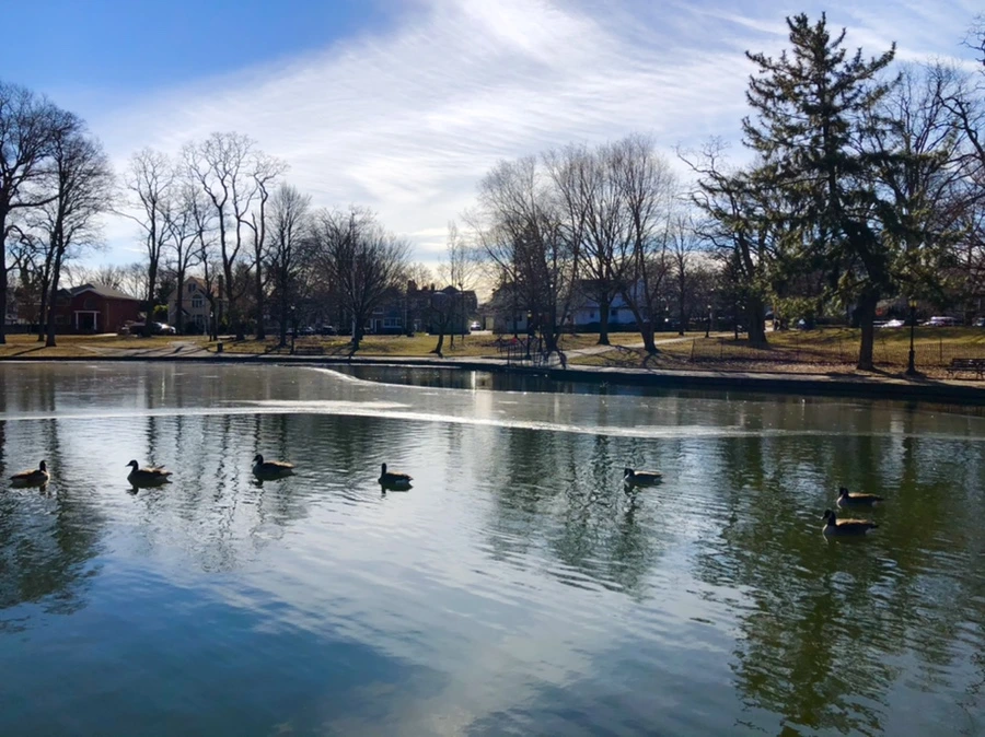 IMG_5494.jpg?type=w966