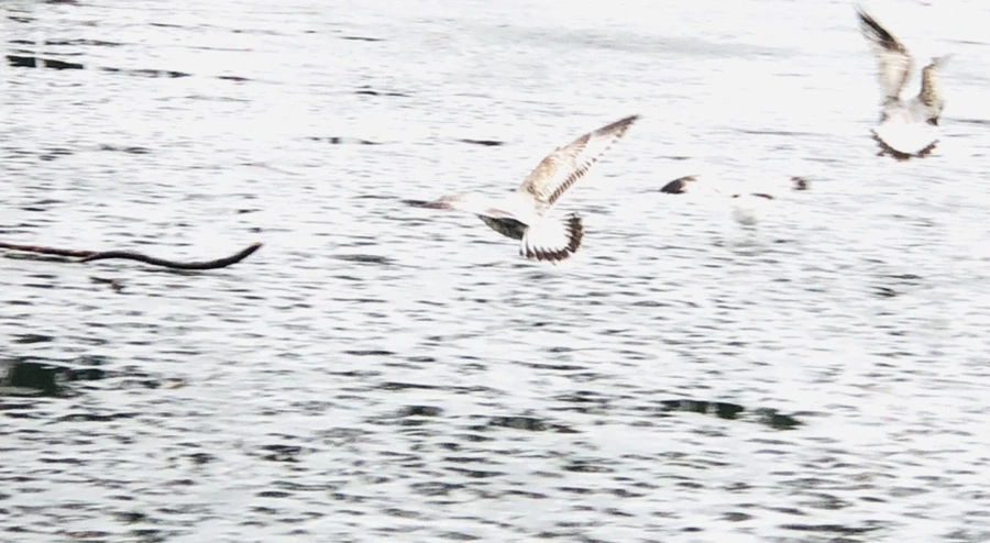 IMG_5574.jpg?type=w966