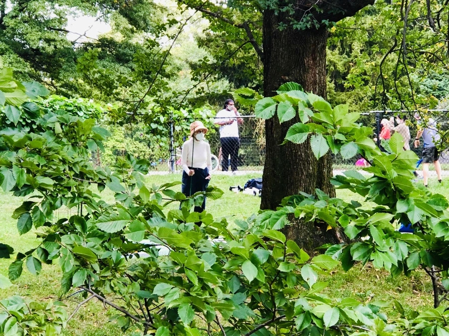 IMG_1047.jpg?type=w966