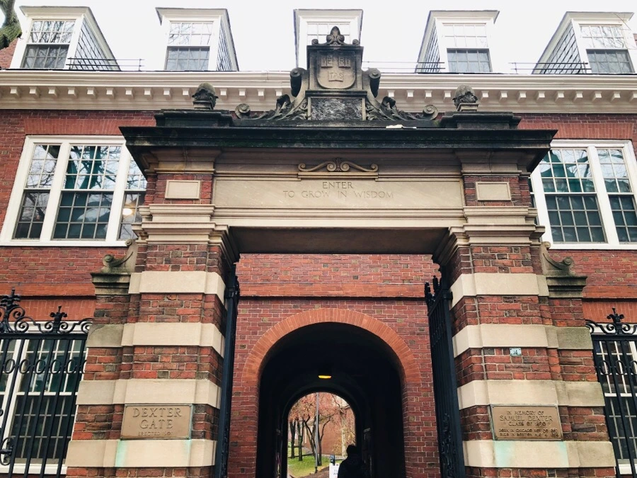 IMG_8094.jpg?type=w966