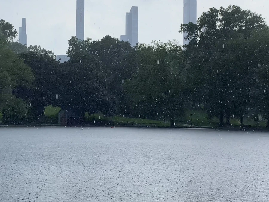 IMG_1734.jpg?type=w966