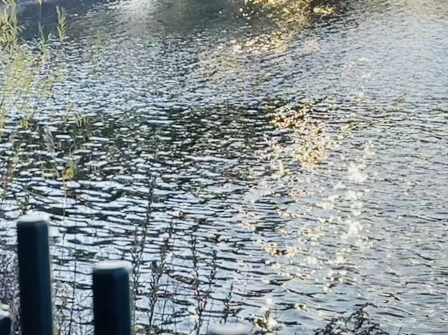 IMG_5727.jpg?type=w966