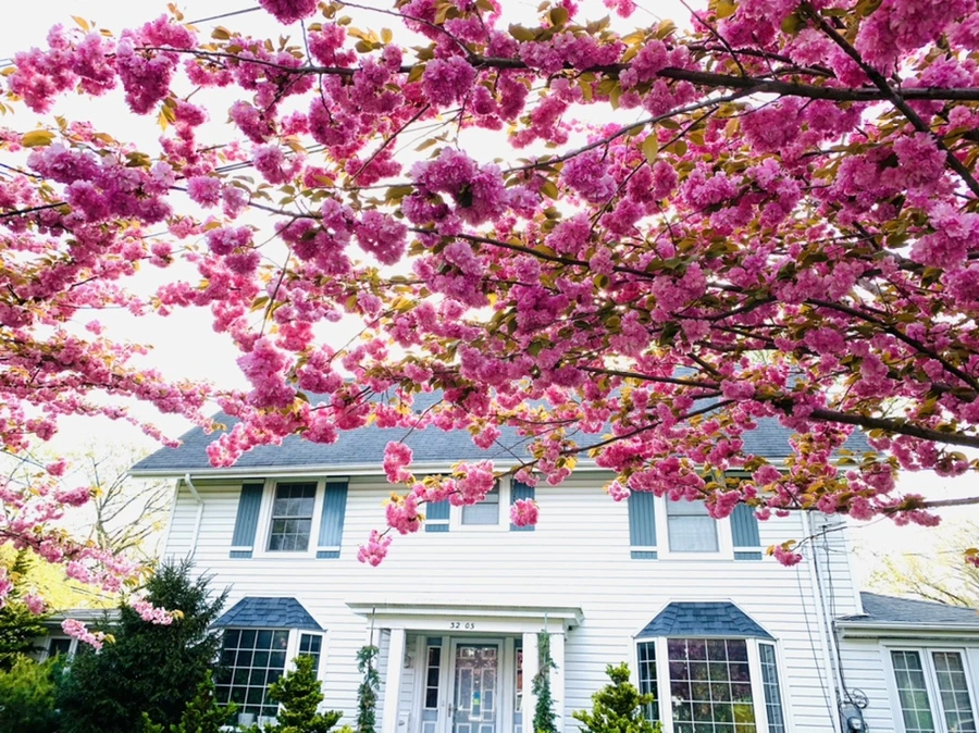 IMG_6786.jpg?type=w966