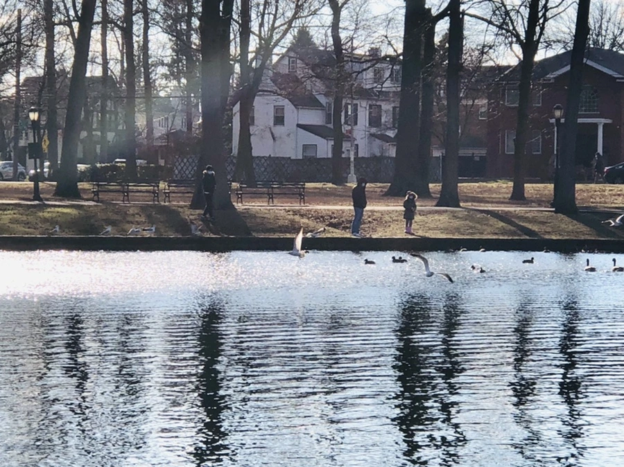 IMG_4197.jpg?type=w966