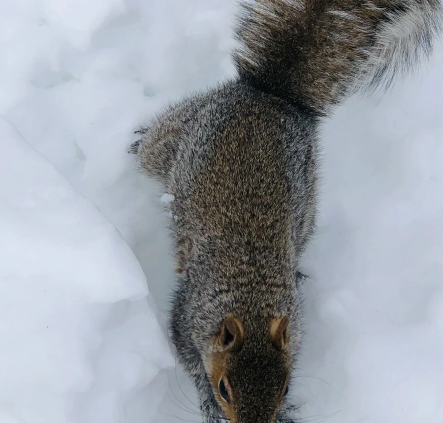 IMG_9242.jpg?type=w966