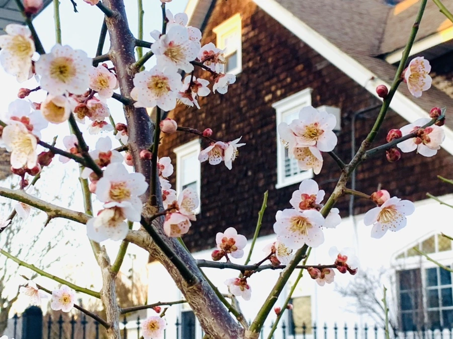 IMG_2253.jpg?type=w966