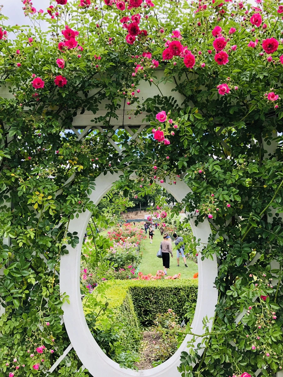 IMG_5987.jpg?type=w966