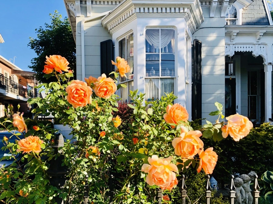 IMG_7452.jpg?type=w966