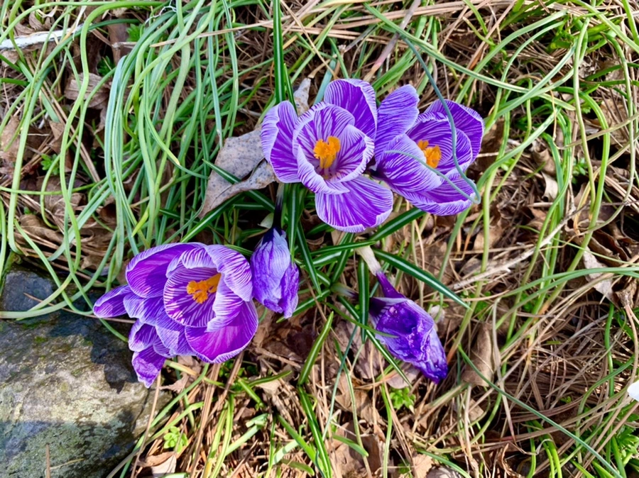 IMG_4364.jpg?type=w966