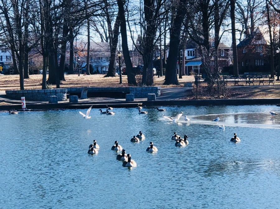 IMG_5423.jpg?type=w966